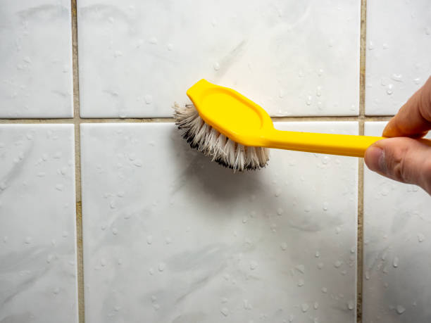 Best Home Mold Removal  in Victory Lakes, NJ