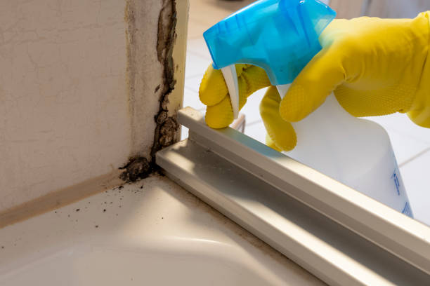 Best Office Mold Removal Services  in Victory Lakes, NJ
