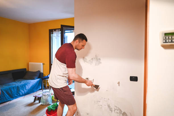 Best Certified Mold Removal  in Victory Lakes, NJ